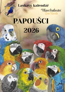 Nástěnný kalendář 2026