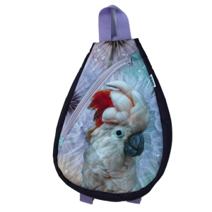 Malý batoh,popruhy přes obě ramena. Výška 34cm x 26 cm