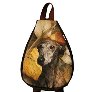 Malý batoh,popruhy přes obě ramena. Výška 34cm x 26 cm