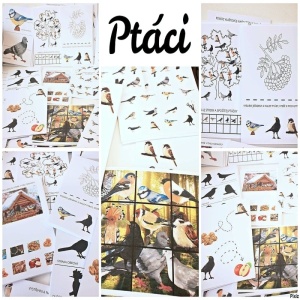Ptáci - pracovní listy