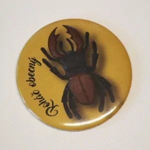 magnet průměr 5,6 cm