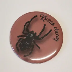 magnet průměr 5,6 cm