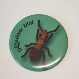 magnet průměr 5,6 cm