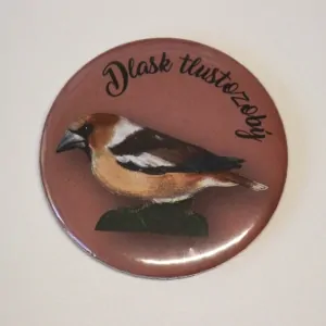magnet průměr 5,6 cm