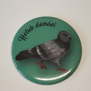 magnet průměr 5,6 cm