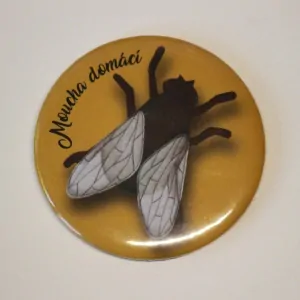 magnet průměr 5,6 cm
