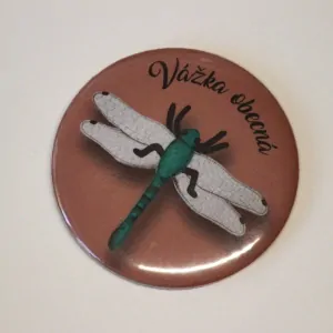 magnet průměr 5,6 cm