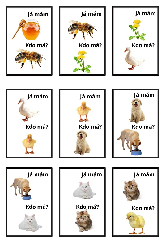 Já mám , kdo má? V souvislostech