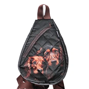 Malý batoh,popruhy přes obě ramena. Výška 34cm x 26 cm