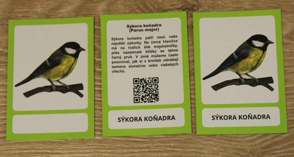 Třísložkové karty Naši ptáci
