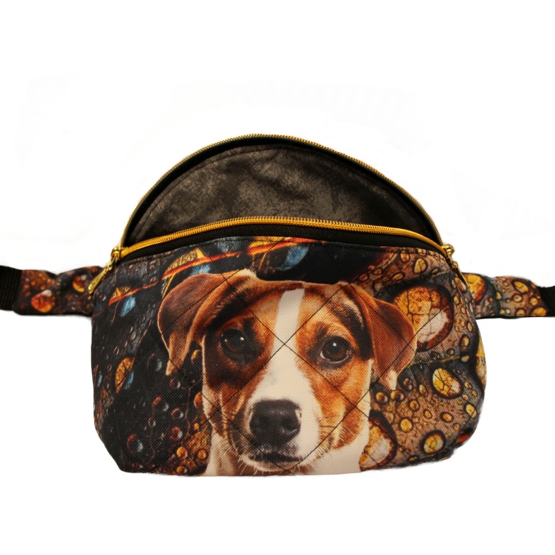 Ledvinka