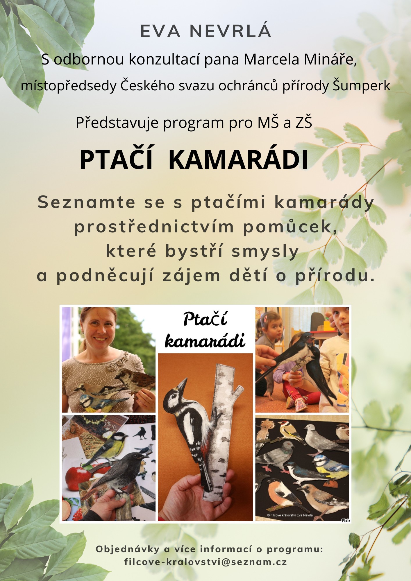 Ptáci