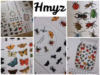 Hmyz - pracovní listy